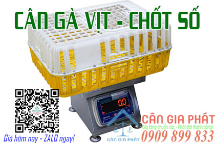 Cân điện tử cân gà vịt