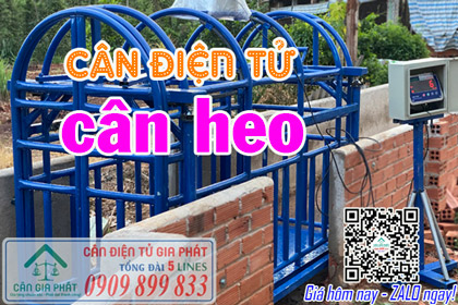 Cân điện tử cân heo cân lợn