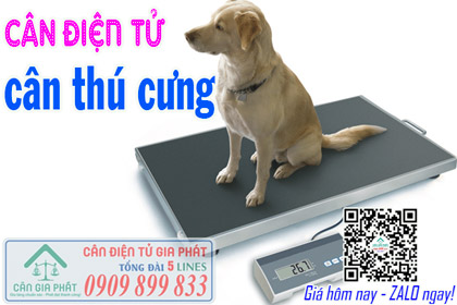 Cân điện tử cân thú cưng