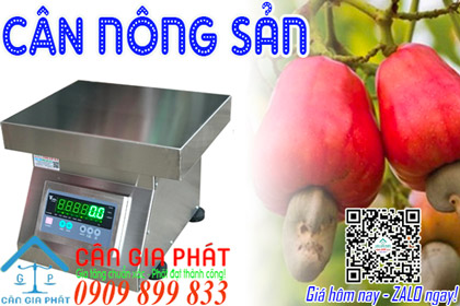 Cân điện tử cân nông sản