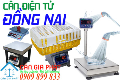 Cân điện tử Đồng Nai - cân điện tử Biên Hoà Đồng Nai