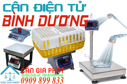 Cân điện tử Bình Dương - sửa cân điện tử Bình Dương