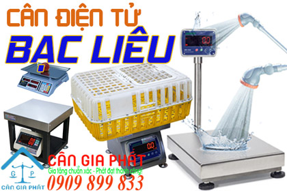 Cân điện tử Bạc Liêu
- sửa cân điện tử ở Bạc Liêu