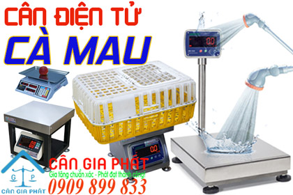 Cân điện tử Cà Mau - sửa cân điện tử ở Cà Mau