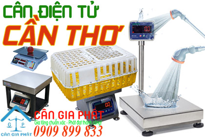 Cân điện tử Cần Thơ - sửa cân điện tử ở Cần Thơ