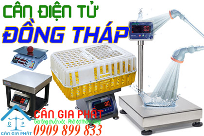 Cân điện tử Đồng Tháp - sửa cân điện tử ở Đồng Tháp