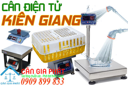Cân điện tử Kiên Giang - sửa cân điện tử ở Kiên Giang