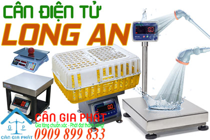Cân điện tử Long An - sửa cân điện tử ở Long An