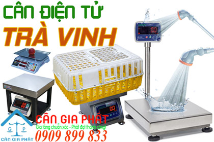 Cân điện tử Trà Vinh - sửa cân điện tử ở Trà Vinh