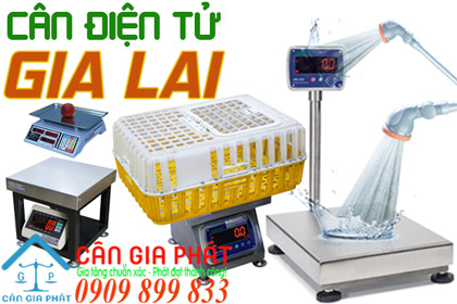 Cân điện tử Gia Lai - sửa cân điện tử ở Gia Lai