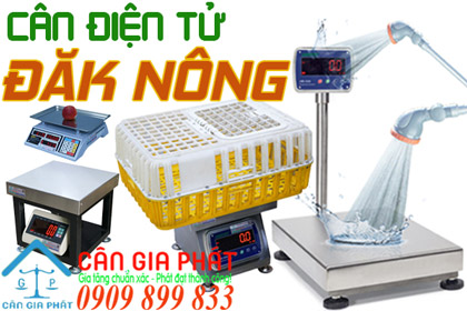 Cân điện tử Đăk Nông - sửa cân điện tử ở Đăk Nông