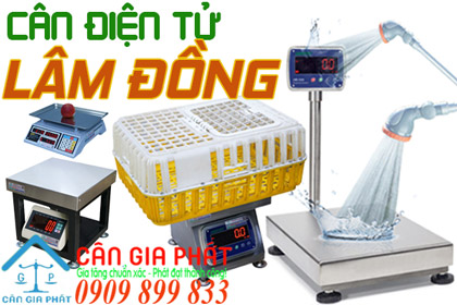 Cân điện tử Lâm Đồng - sửa cân điện tử ở Bảo Lộc Lâm Đồng