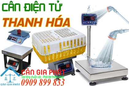 Cân điện tử Thanh Hóa - sửa cân điện tử ở Thanh Hóa