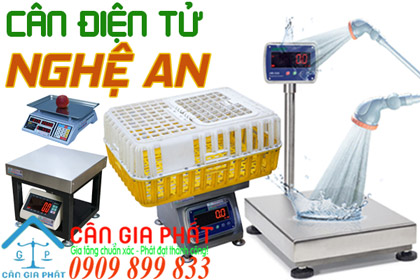 Cân điện tử Nghệ An - sửa cân điện tử ở Nghệ An
