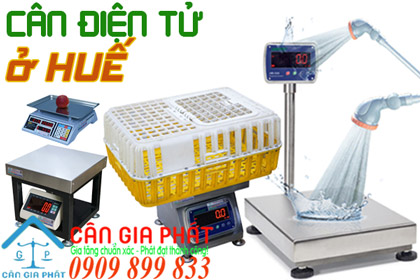 Cân điện tử ở Huế - sửa cân điện tử ở Huế