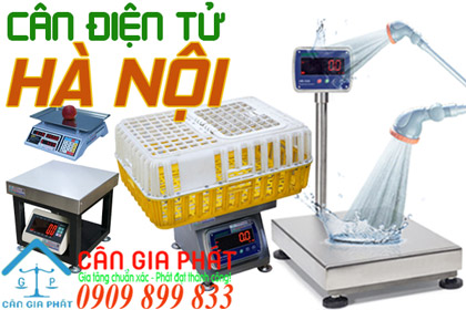 Cân điện tử Hà Nội - sửa cân điện tử ở Hà Nội
