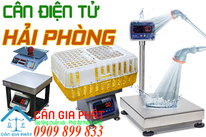 Cân điện tử Hải Phòng - sửa cân điện tử ở Hải Phòng