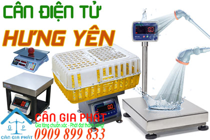 Cân điện tử Hưng Yên - sửa cân điện tử ở Hưng Yên