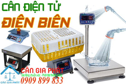 Cân điện tử Điện Biên - sửa cân điện tử ở Điện Biên