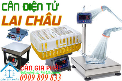 Cân điện tử Lai Châu - sửa cân điện tử ở Lai Châu