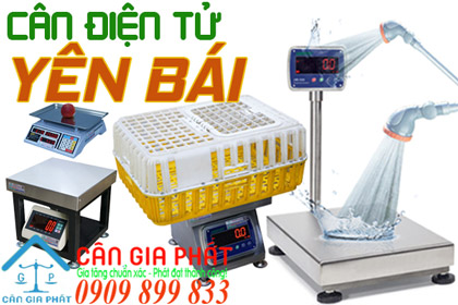 Cân điện tử Yên Bái - sửa cân điện tử ở Yên Bái