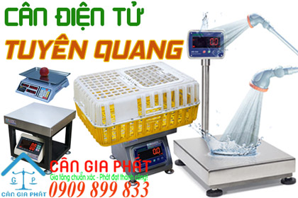 Cân điện tử Tuyên Quang - sửa cân điện tử ở Tuyên Quang