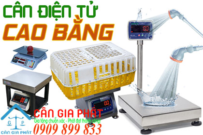 Cân điện tử Cao Bằng - sửa cân điện tử ở Cao Bằng