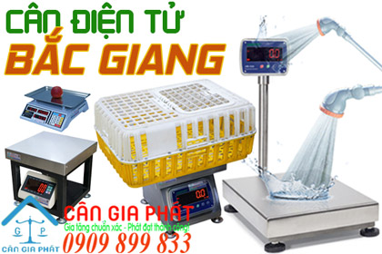 Cân điện tử Bắc Giang - sửa cân điện tử ở Bắc Giang
