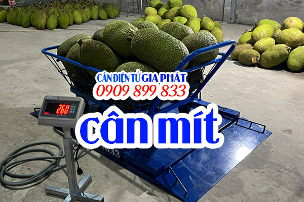 Cân điện tử cân mít