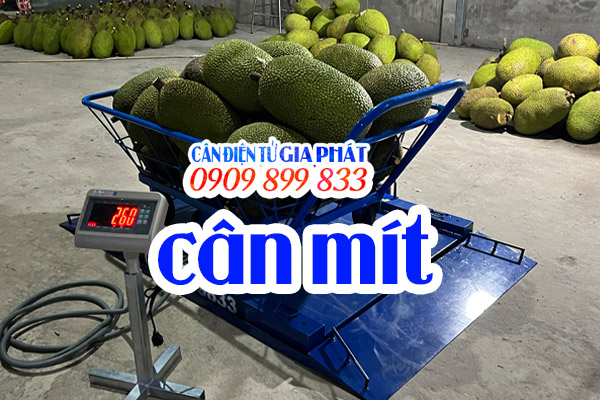Cân điện tử cân mít 300kg 500kg 1 tấn - Cân Điện Tử Gia Phát