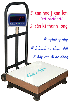 CÂN ĐIỆN TỬ GIA PHÁT