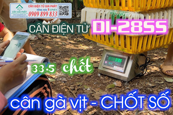 Cân điện tử cân gà vịt heo chốt số ở Đồng Nai 60kg 150kg 200kg 300kg