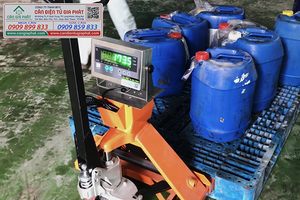 Cân điện tử xe nâng Di-28SS 300kg 500kg 1 2 3 tấn