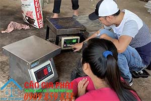 Sửa cân điện tử ở Đồng Nai, sửa cân điện tử mua bán hạt điều