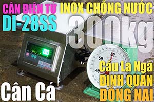 Cân điện tử ở Định Quán Đồng Nai, cân điện tử 300kg inox DI-28SS cân cá ở cầu La Ngà