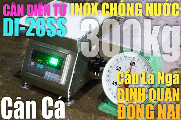 Cân điện tử ở Định Quán Đồng Nai cân điện tử 300kg DI-28SS cân cá