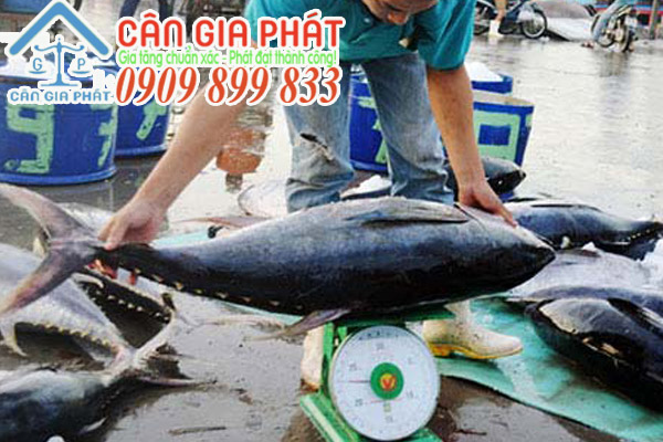 Cân Bến Thành 60kg - cân lò xo Bến Thành 60kg - cân đồng hồ 60kg