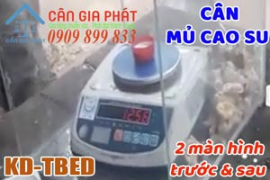 Cân mủ cao su 2 màn hình trước & sau KD-TBED