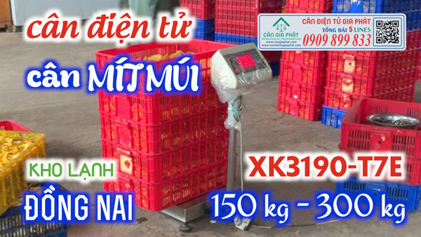 Cân điện tử ở Cẩm Mỹ Đồng Nai cân mít 150kg 200kg 300kg 500kg