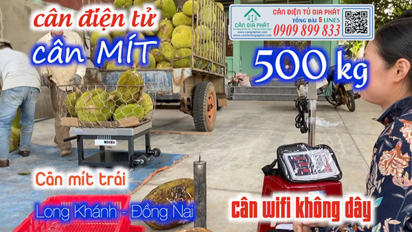 Cân điện tử ở Cẩm Mỹ Đồng Nai cân mít trái cân wifi không dây