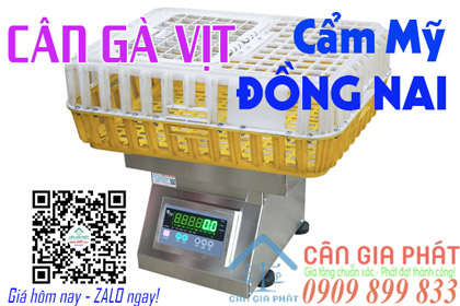 Cân điện tử cân gà vịt 150kg 300kg ở Cẩm Mỹ Đồng Nai