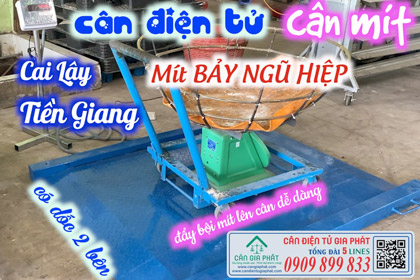 Cân điện tử cân mít 500kg Cai Lậy Tiền Giang - Vựa Mít BẢY NGŨ HIỆP