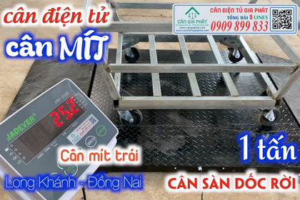 Cân điện tử 300kg 500kg 1 tấn cân mít ở Đồng Nai, Cân điện tử JWI-3100