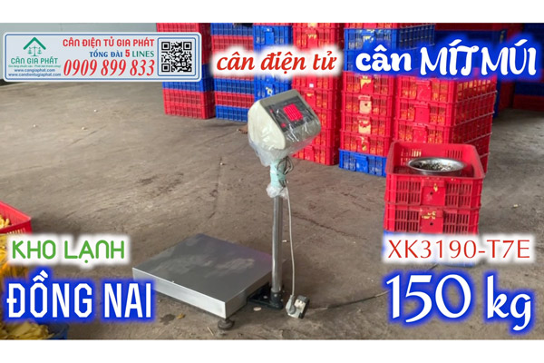 Cân điện tử 150kg 300kg 500kg cân mít ở Đồng Nai