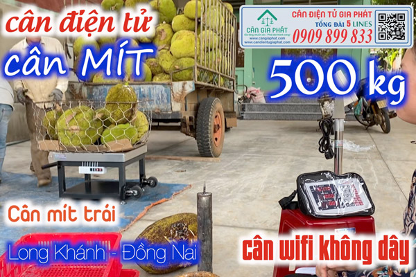 Cân điện tử 60kg 100kg 150kg 300kg 500kg cân mít ở Đồng Nai