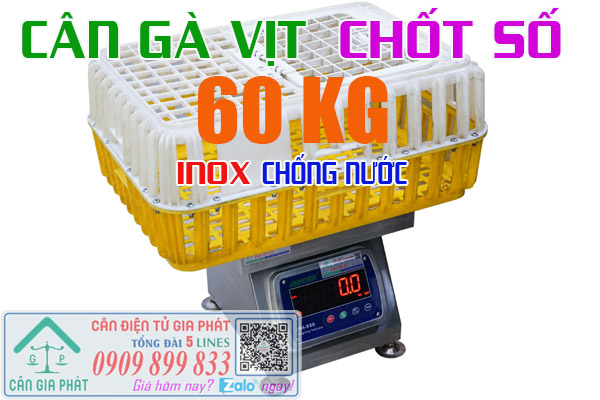 Cân điện tử 60kg cân gà vịt heo cân động vật chốt số