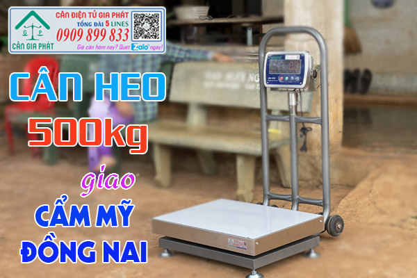 Sửa cân heo điện tử 200kg 300kg 500kg ở Đồng Nai