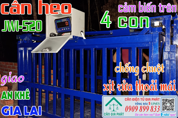 Cân heo điện tử 500kg 1 tấn 2 tấn ở Gia Lai - mua bán và sửa cân điện tử cân heo