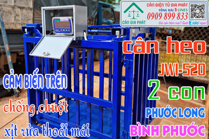 Cân điện tử cân heo cân 2 con - cảm biến trên ở Phước Long Bình Phước