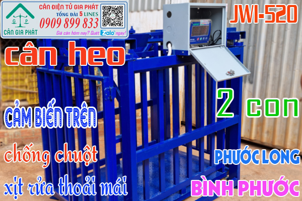 Cân heo điện tử 500kg 1 tấn 2 tấn ở Bình Phước - mua bán và sửa cân điện tử cân heo